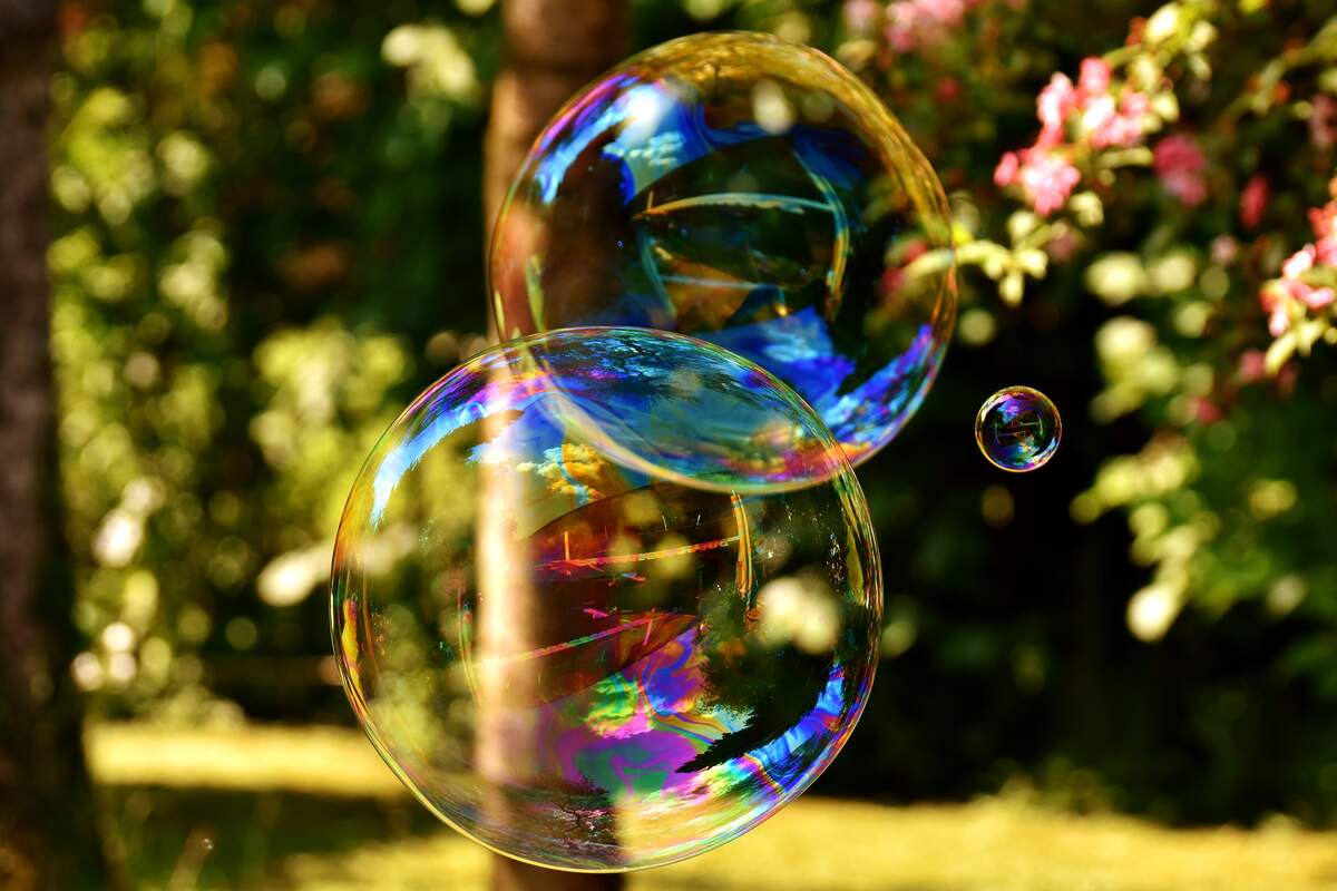  bubble day