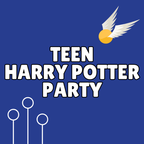 Teen Harry Potter Party with quidditch
