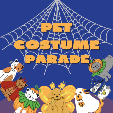 pets in costume with spider web background