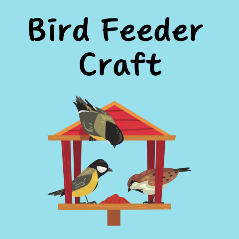 bird feeder