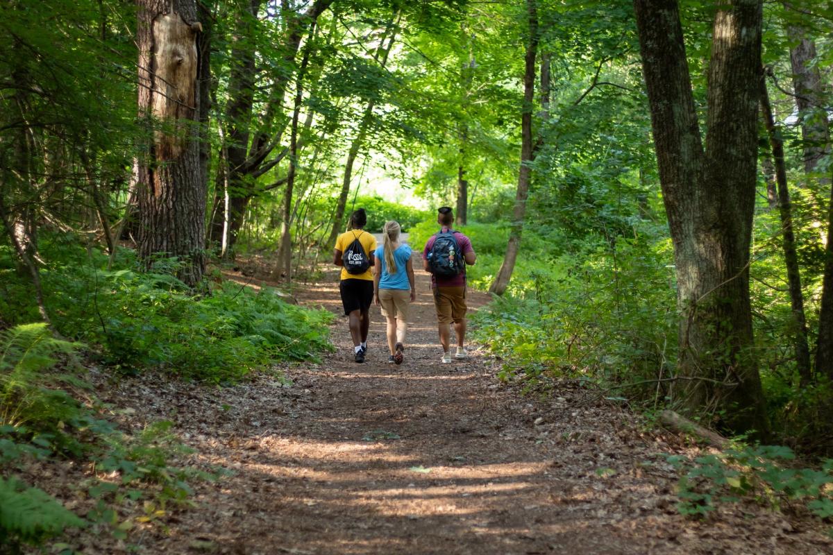 people walking on a trail