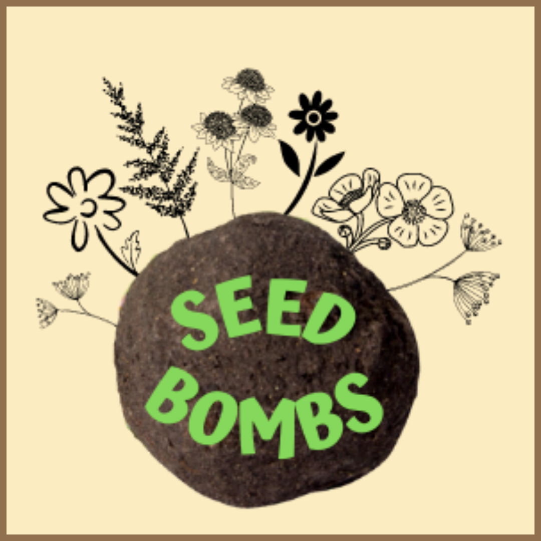 seed bombs