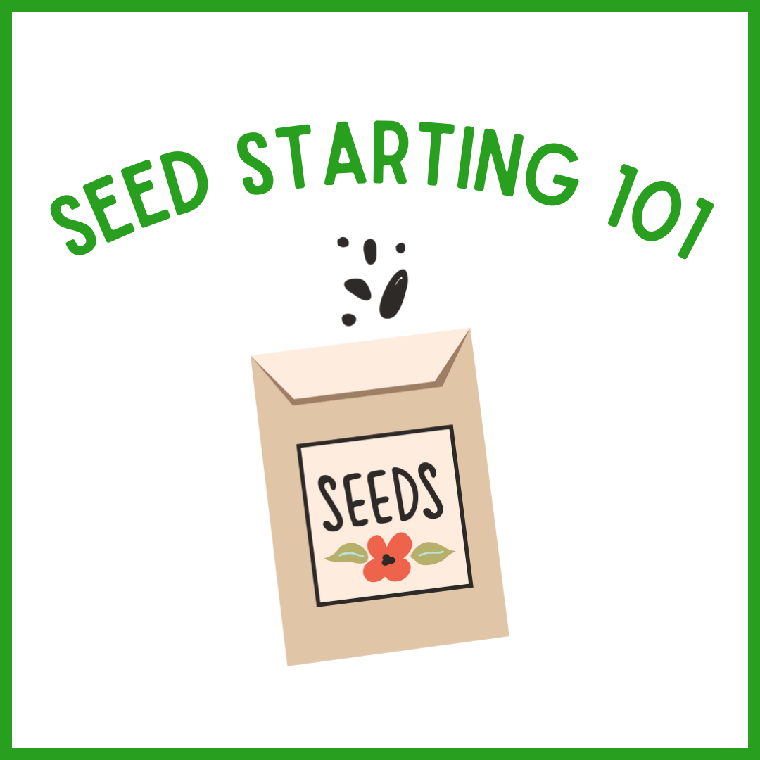 seed packet